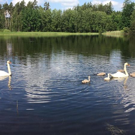 Apartmany U Parezace Humpolec Bagian luar foto