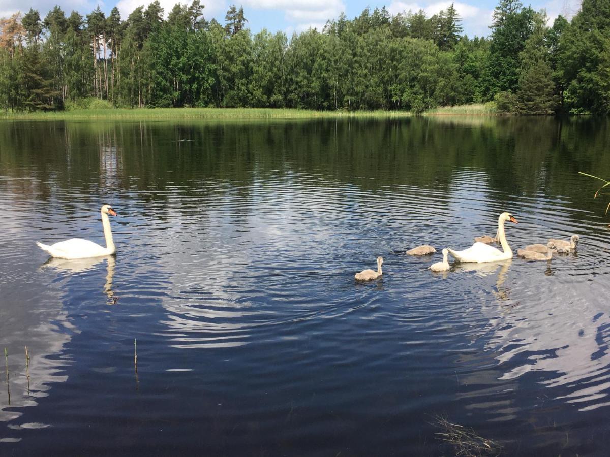 Apartmany U Parezace Humpolec Bagian luar foto